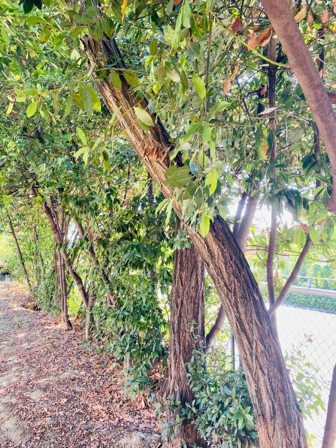 Villa Francesca Spoltore Dış mekan fotoğraf